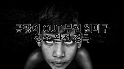 곰팡이 OUT! 부천 원미구 청소 완전 정복🧹✨